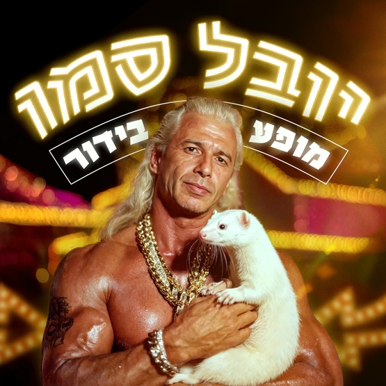 תמונת מופע: יובל סמו