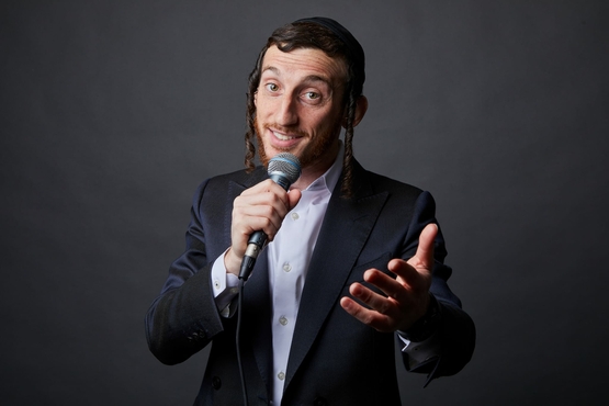 תמונת מופע: שולם למר